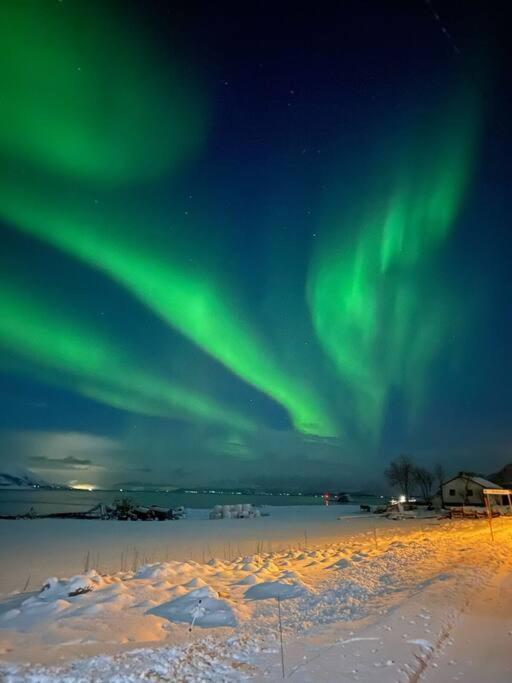 Feriehus Cozy House - Stronstad @the Start Of Lofoten